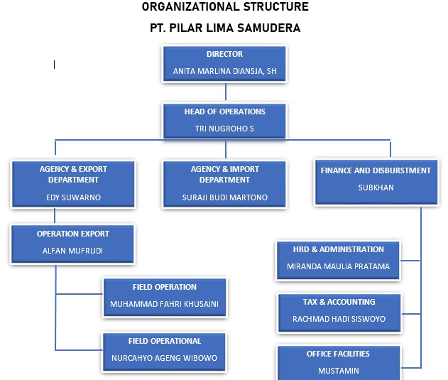 COMPANY STRUCTURE 